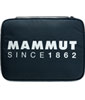 160 Years Seon Laptop Case