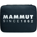 160 Years Seon Laptop Case