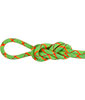 8.0 Alpine Core Protect Dry Rope