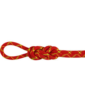 Mammut 8.0 Alpine Core Protect Dry Rope