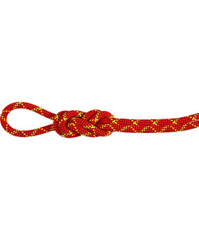 Mammut 8.0 Alpine Core Protect Dry Rope