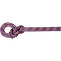 Adam Ondra 8,7 mm We Care Dry Rope 