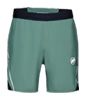 Aenergy TR Shorts