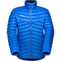 Albula IN Jacket