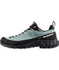 Alnasca IV Low LTH GTX Women