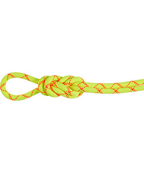 Mammut Alpine Core Protect Dry Rope 9,5 mm