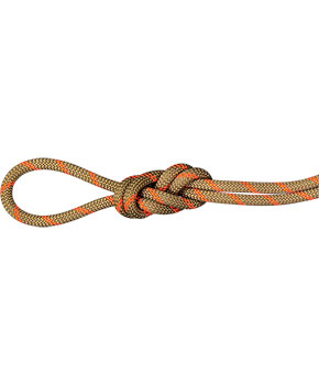 Mammut Alpine Dry Rope 8,0 mm