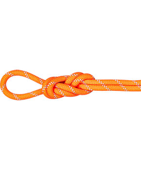 Mammut Alpine Dry Rope 9,5 mm