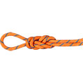 Alpine Sender Dry Rope 9,0 mm