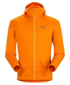 Arc'teryx Arenite Men's Hoody 