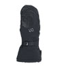Arete Modular Gore-Tex Mitts