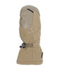 Arete Modular Gore-Tex Mitts