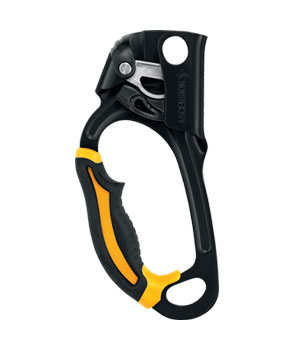 Petzl Ascension