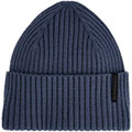 Bandera Beanie