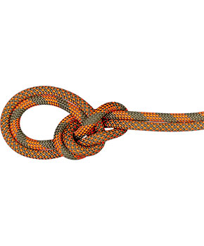 Mammut Crag Dry Rope Duodes 9,5 mm