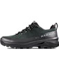 Ducan III High LTH GTX