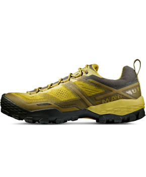 Mammut Ducan Low GTX Men
