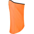 Eiswand Neck Gaiter