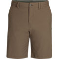 Ferrosi Shorts 10