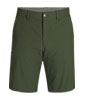 Ferrosi Shorts 10