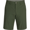 Ferrosi Shorts 10