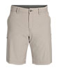 Ferrosi Shorts 10