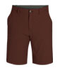 Ferrosi Shorts 10