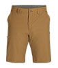 Ferrosi Shorts - 10