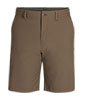 Ferrosi Shorts - 10