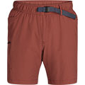 Ferrosi Shorts - 7