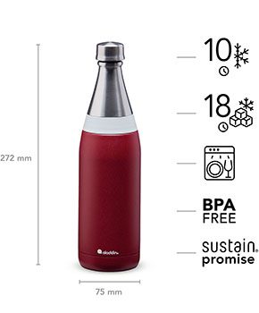Aladdin Fresco Twist & Go Thermavac™ - Stainless Steel Water Bottle