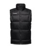 Glacier Glow IN Vest
