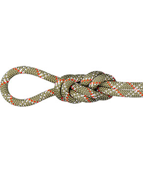 Mammut Gym Classic Rope 9,5 mm