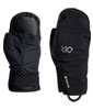 Hemispheres Team GTX 3L Mitts