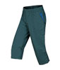 Jaws 3/4 Pants