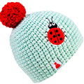 Lady Bug Beanie