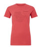 Linear Landscapre T-Shirt Women