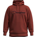 Logo Hoody Light
