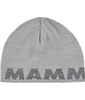 Mammut Logo Beanie