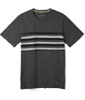 Men's Merino 150 Colorblock Short Sleeve