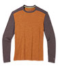 Men's Merino 250 Baselayer Crew