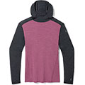 Men's Merino 250 Baselayer Hoodie 