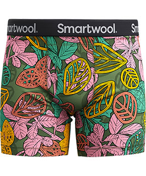 Smartwool Men's Merino Print Boxer Brief Boxed