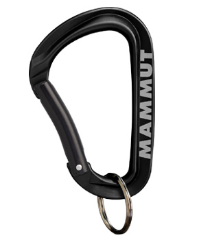 Mammut Mini Carabiner Workhorse Keylock L