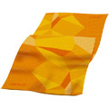 ORTLIEB Buff