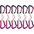 Raven QD BIO-DYN-Ring 15 mm 6er Pack