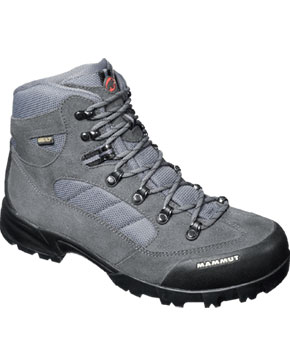Mammut Scout GTX Men 
