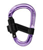 Smart HMS 2.0 Screwgate Carabiner