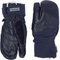 Team Gore-Tex 3-Finger Gloves