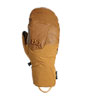 Team Gore-Tex Mitts
